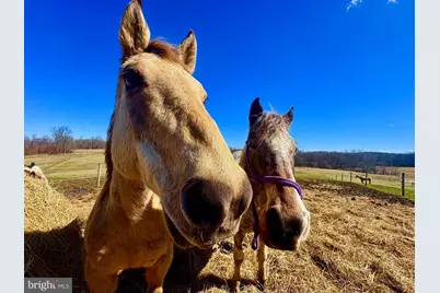 301 Dinkenberger Road, Kingwood, WV 26537 - Photo 6