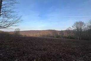 1157 Lakeford Rd, Terra Alta, WV 26764 - Photo 12