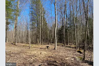 53 Riverstone Landing #121, Bruceton Mills, WV 26525 - Photo 12