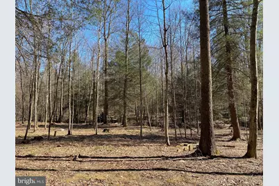 53 Riverstone Landing #121, Bruceton Mills, WV 26525 - Photo 18