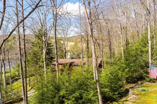 4502 Hileman Rd, Bruceton Mills, WV 26525 - Photo 58