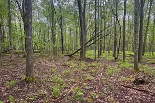 493 Galilee Rd, Bruceton Mills, WV 26525 - Photo 46