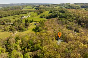 100 W Youghiogheny Dr, Aurora, WV 26705 - Photo 16