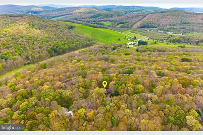 37 Sorrel Court, Terra Alta, WV 26764 - Photo 50