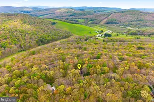 37 Sorrel Ct, Terra Alta, WV 26764 - Photo 50