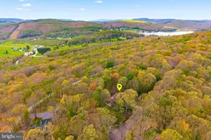 37 Sorrel Ct, Terra Alta, WV 26764 - Photo 32