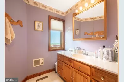1516 White Oak School Road, Terra Alta, WV 26764 - Photo 40