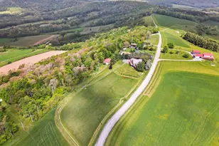 1516 White Oak School Rd, Terra Alta, WV 26764 - Photo 10