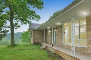 1213 Cash Valley Rd, Eglon, WV 26716 - Photo 6