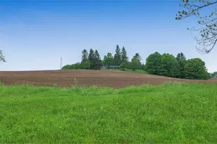 1213 Cash Valley Rd, Eglon, WV 26716 - Photo 8