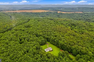 1366 Deer Haven Rd, Bruceton Mills, WV 26525 - Photo 40