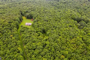 1366 Deer Haven Rd, Bruceton Mills, WV 26525 - Photo 36