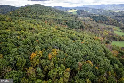 0 Dry Run Road, Sugar Grove, WV 26815 - Photo 20