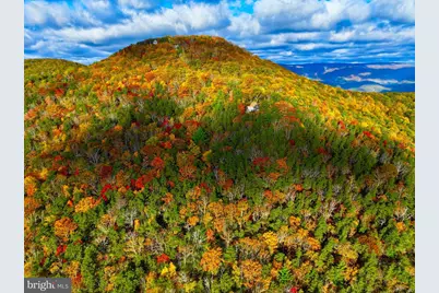 483 The High Road, Franklin, WV 26807 - Photo 16