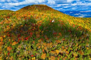 483 The High Rd, Franklin, WV 26807 - Photo 16