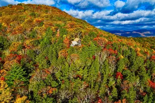 483 The High Rd, Franklin, WV 26807 - Photo 14