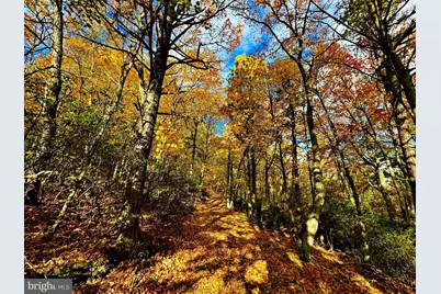 483 The High Road, Franklin, WV 26807 - Photo 18