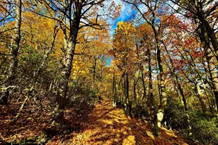 483 The High Rd, Franklin, WV 26807 - Photo 18