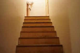 255 Troublesome Valley Rd, Franklin, WV 26807 - Photo 48