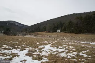 255 Troublesome Valley Rd, Franklin, WV 26807 - Photo 62