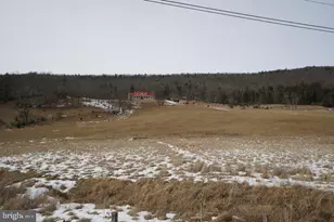 255 Troublesome Valley Rd, Franklin, WV 26807 - Photo 6