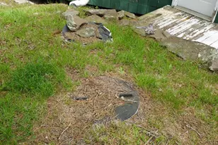 55 Burton Rd, Franklin, WV 26807 - Photo 16