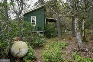 55 Burton Rd, Franklin, WV 26807 - Photo 14