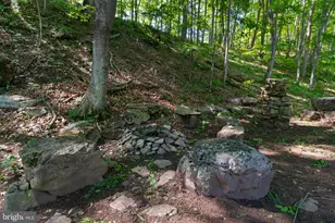 187 Leonard Ln, Franklin, WV 26807 - Photo 88