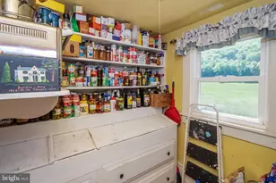 187 Leonard Ln, Franklin, WV 26807 - Photo 96