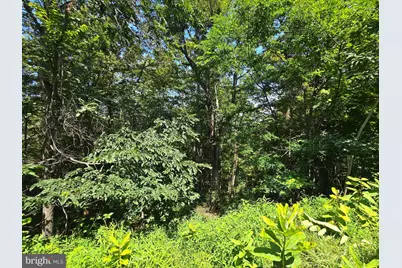 Lot 24 Stone Fly Ln, Sugar Grove, WV 26815 - Photo 6
