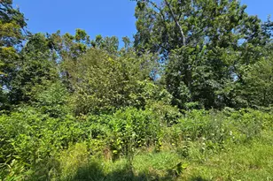 Lot 24 Stone Fly Ln, Sugar Grove, WV 26815 - Photo 1