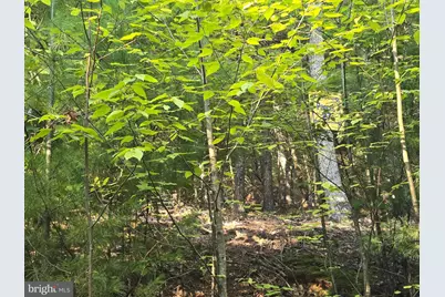 Lot 27 Native Trout Ln, Sugar Grove, WV 26815 - Photo 1