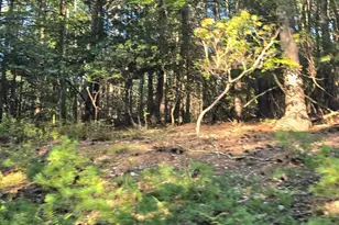 Lot 24 27 Native Trout Ln, Sugar Grove, WV 26815 - Photo 1