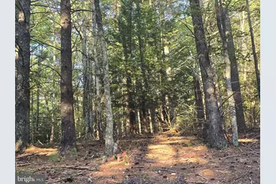 Lot 24 & 27 Native Trout Ln, Sugar Grove, WV 26815 - Photo 4