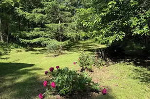 5994 Mount Freedom Dr, Circleville, WV 26804 - Photo 24