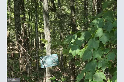 Lot #21 Stone Fly Dr., Sugar Grove, WV 26815 - Photo 16