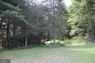 106 Pit Run Rd, Brandywine, WV 26802 - Photo 46