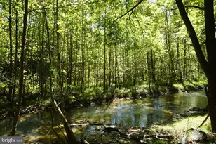 789 Upper South Branch Rd, Franklin, WV 26807 - Photo 46