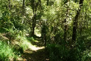 789 Upper South Branch Rd, Franklin, WV 26807 - Photo 44