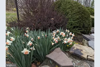 1537 Hidden Valley Road, Franklin, WV 26807 - Photo 14