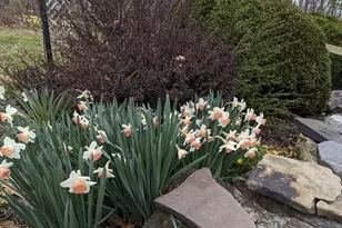 1537 Hidden Valley Rd, Franklin, WV 26807 - Photo 14