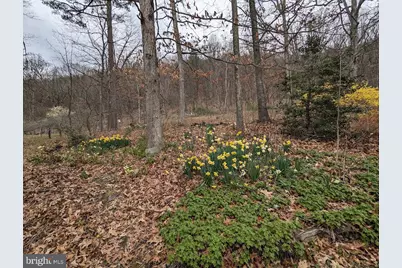 1537 Hidden Valley Road, Franklin, WV 26807 - Photo 68