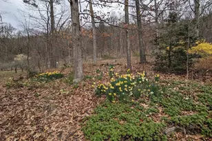 1537 Hidden Valley Rd, Franklin, WV 26807 - Photo 68