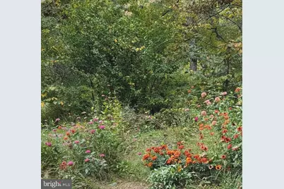 1537 Hidden Valley Road, Franklin, WV 26807 - Photo 62