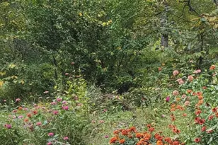 1537 Hidden Valley Rd, Franklin, WV 26807 - Photo 62