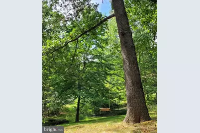 1537 Hidden Valley Road, Franklin, WV 26807 - Photo 66