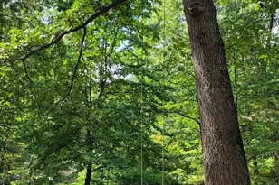 1537 Hidden Valley Rd, Franklin, WV 26807 - Photo 66