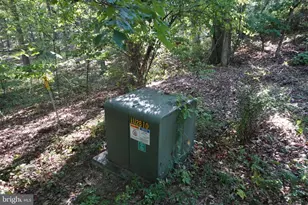 1537 Hidden Valley Rd, Franklin, WV 26807 - Photo 86