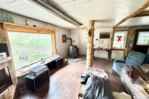 3176 Germany Valley Rd, Seneca Rocks, WV 26884 - Photo 34