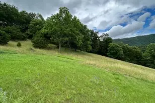 534 Strauter Rd, Franklin, WV 26807 - Photo 28
